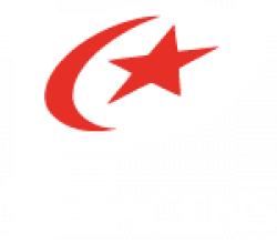 Saracens