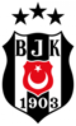 Besiktas GAIN Istanbul Logo